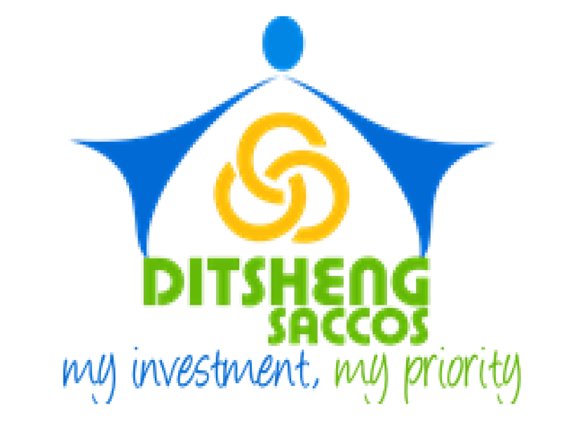 Ditsheng Saccos